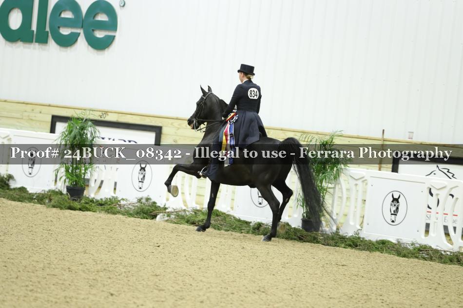 Proof 24BUCK_08342