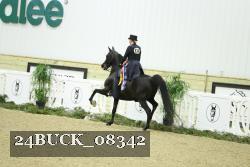 24BUCK_08342 proof