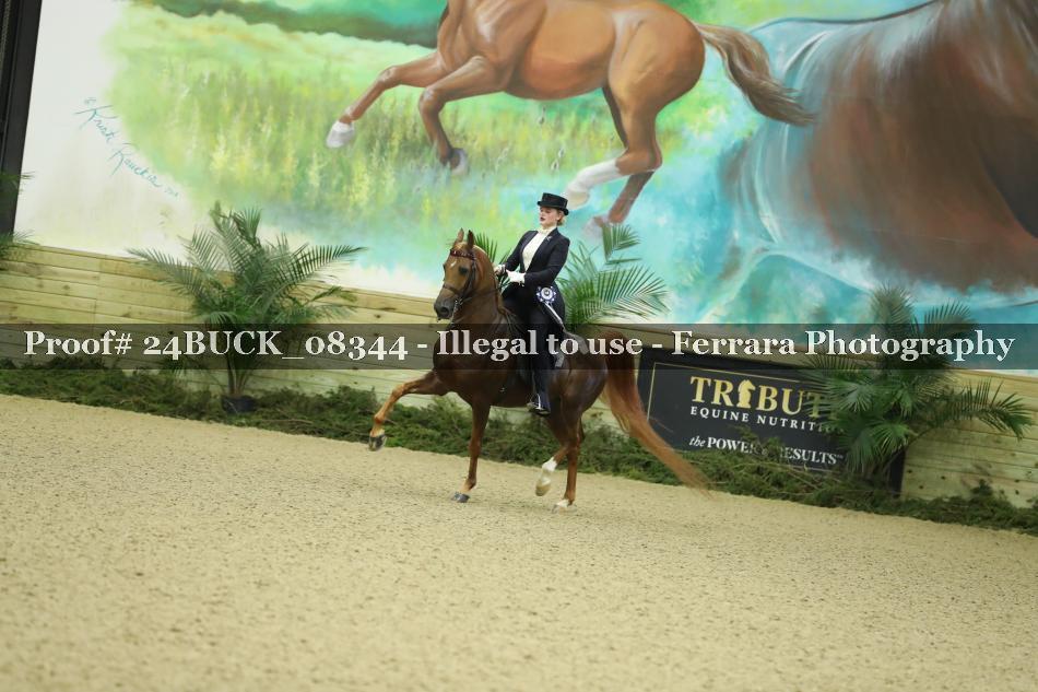 Proof 24BUCK_08344
