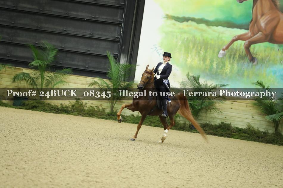 Proof 24BUCK_08345