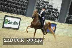 24BUCK_08346 proof
