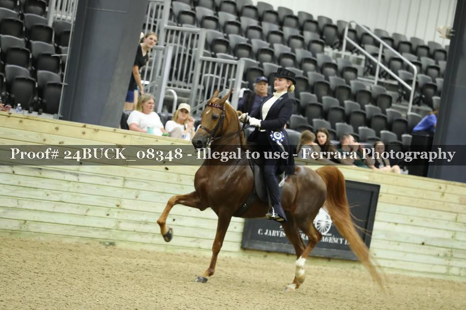 Proof 24BUCK_08348