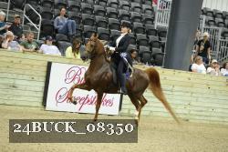 24BUCK_08350 proof