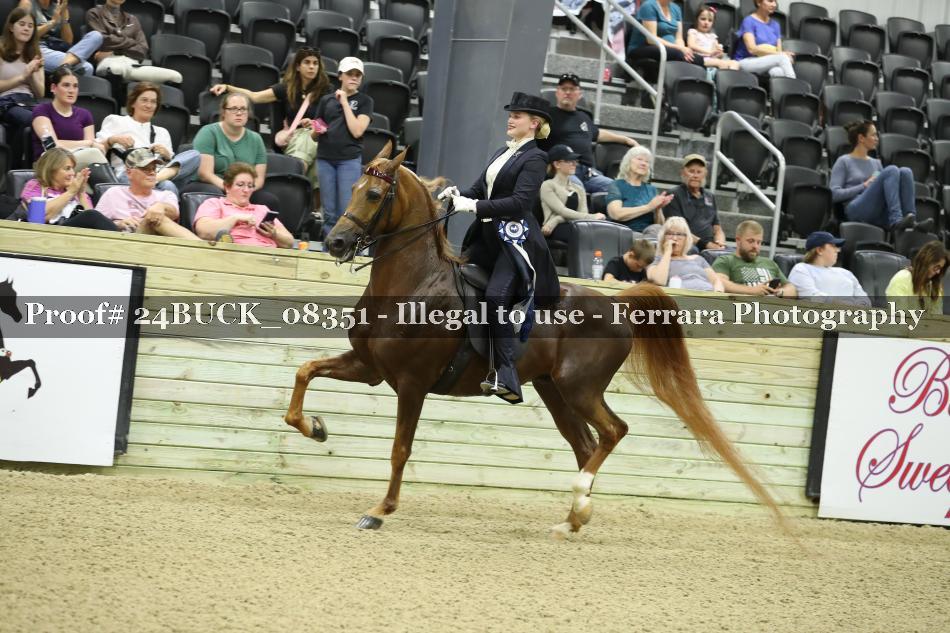 Proof 24BUCK_08351