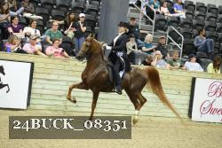 24BUCK_08351 proof