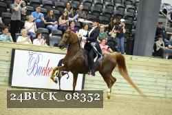 24BUCK_08352 proof
