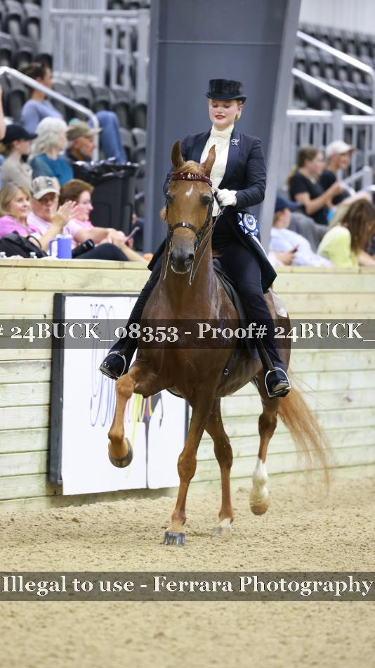 Proof 24BUCK_08353