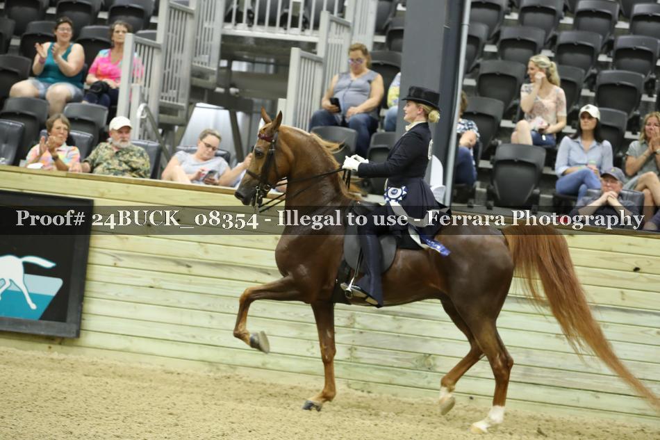 Proof 24BUCK_08354