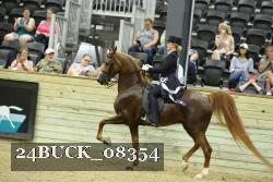 24BUCK_08354 proof