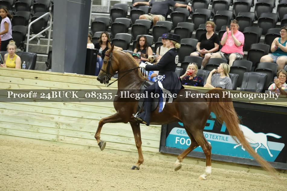 Proof 24BUCK_08355