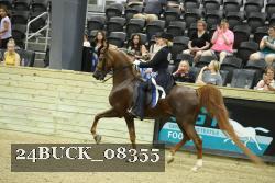 24BUCK_08355 proof