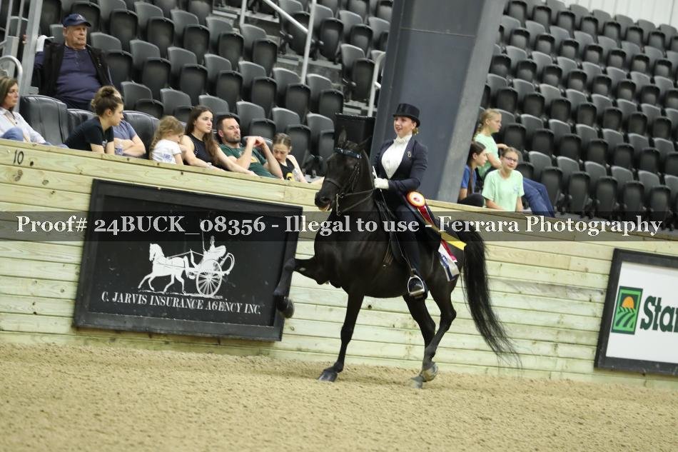 Proof 24BUCK_08356