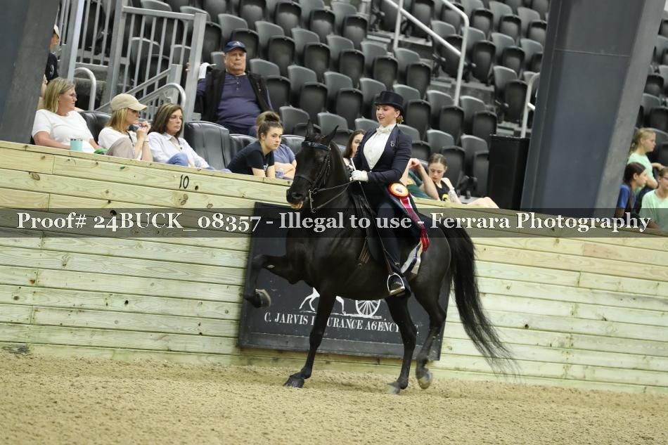 Proof 24BUCK_08357