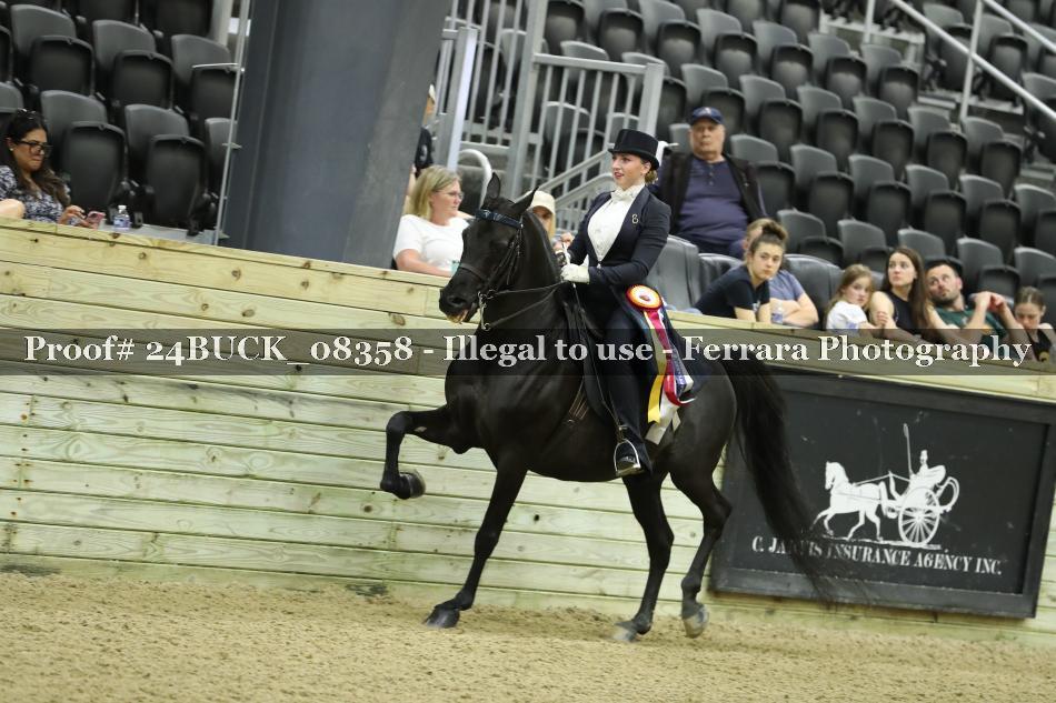 Proof 24BUCK_08358