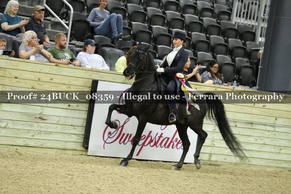 Proof 24BUCK_08359