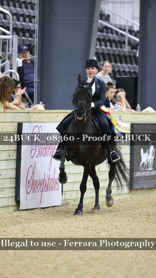 Proof 24BUCK_08360
