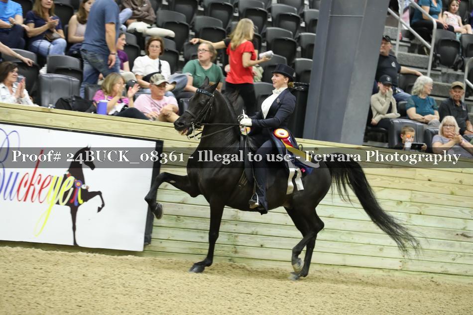 Proof 24BUCK_08361