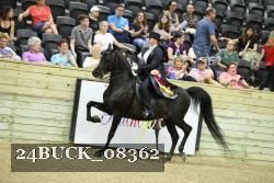 24BUCK_08362 proof