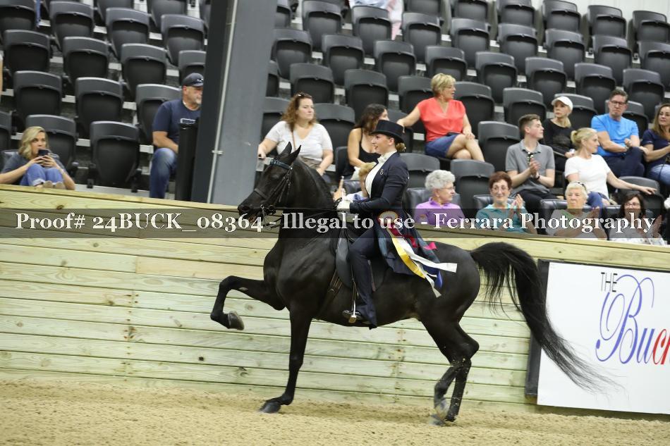 Proof 24BUCK_08364