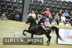 24BUCK_08364 proof