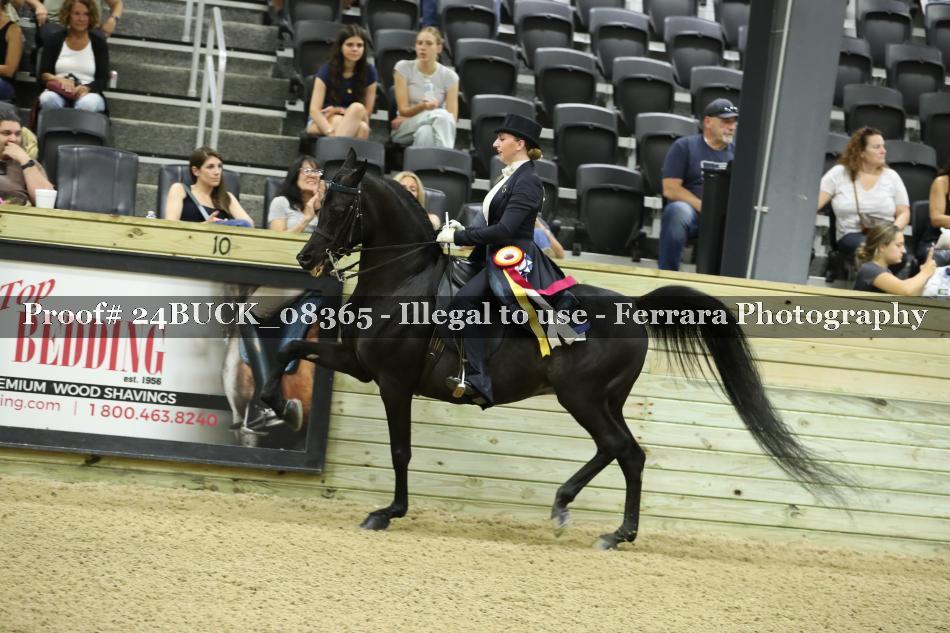 Proof 24BUCK_08365