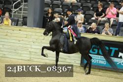24BUCK_08367 proof