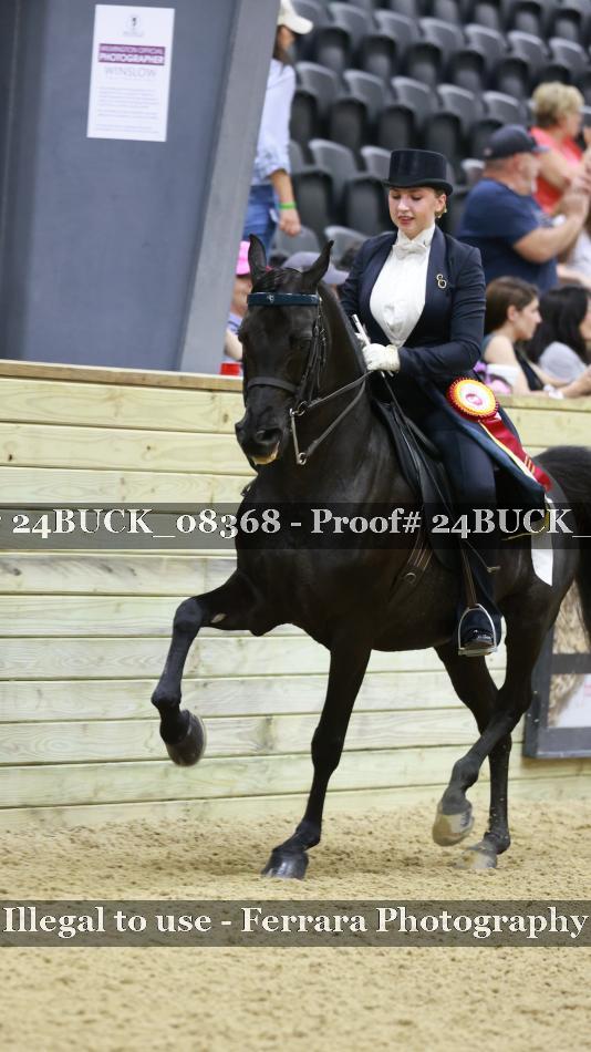 Proof 24BUCK_08368