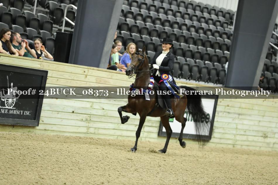 Proof 24BUCK_08373