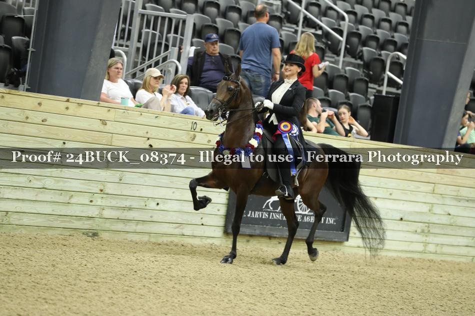 Proof 24BUCK_08374