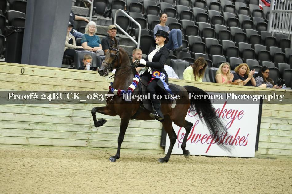 Proof 24BUCK_08377
