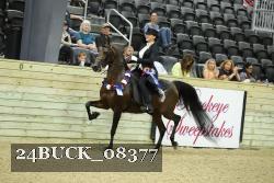 24BUCK_08377 proof