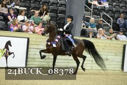 24BUCK_08378 proof