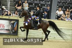 24BUCK_08381 proof