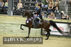 24BUCK_08383 proof