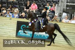 24BUCK_08384 proof