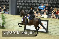 24BUCK_08386 proof