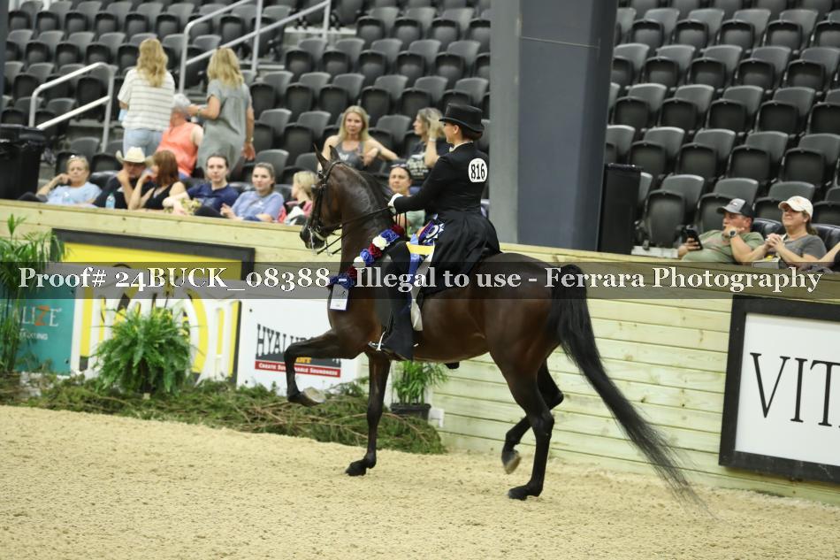 Proof 24BUCK_08388