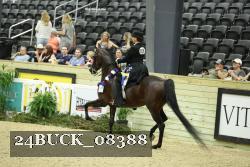 24BUCK_08388 proof