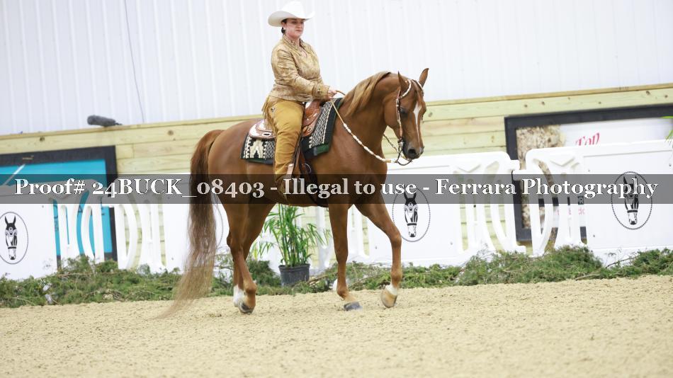 Proof 24BUCK_08403
