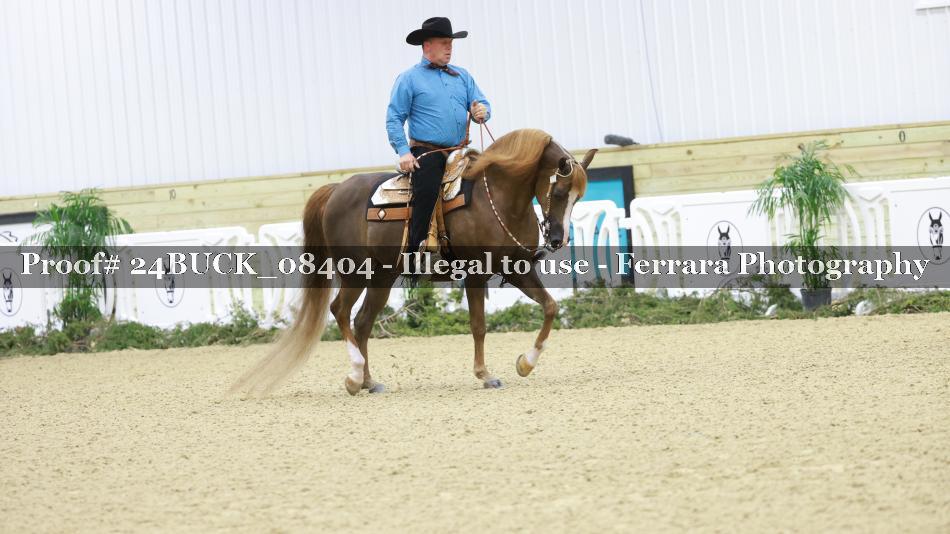 Proof 24BUCK_08404