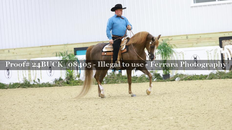Proof 24BUCK_08405