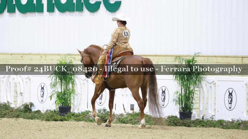 Proof 24BUCK_08420
