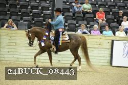 24BUCK_08443 proof
