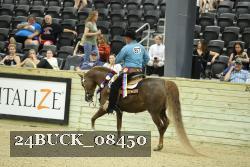 24BUCK_08450 proof