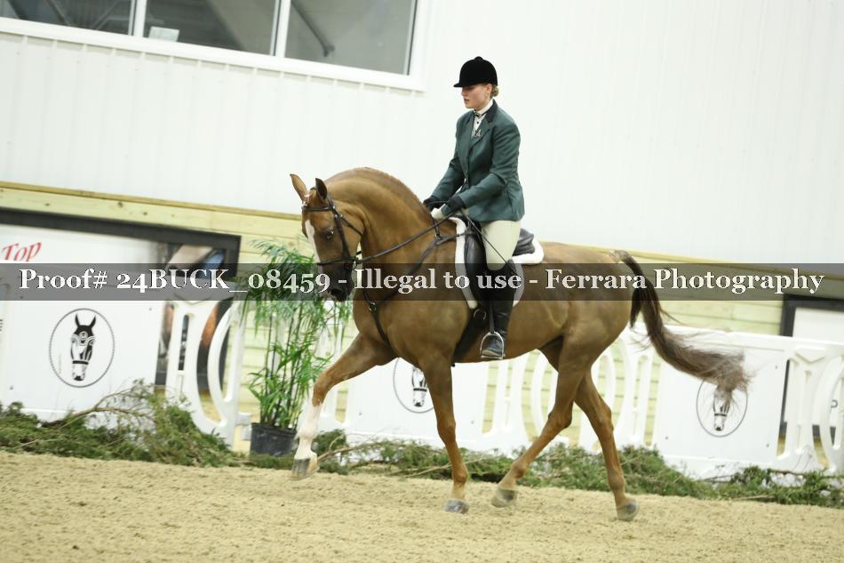 Proof 24BUCK_08459
