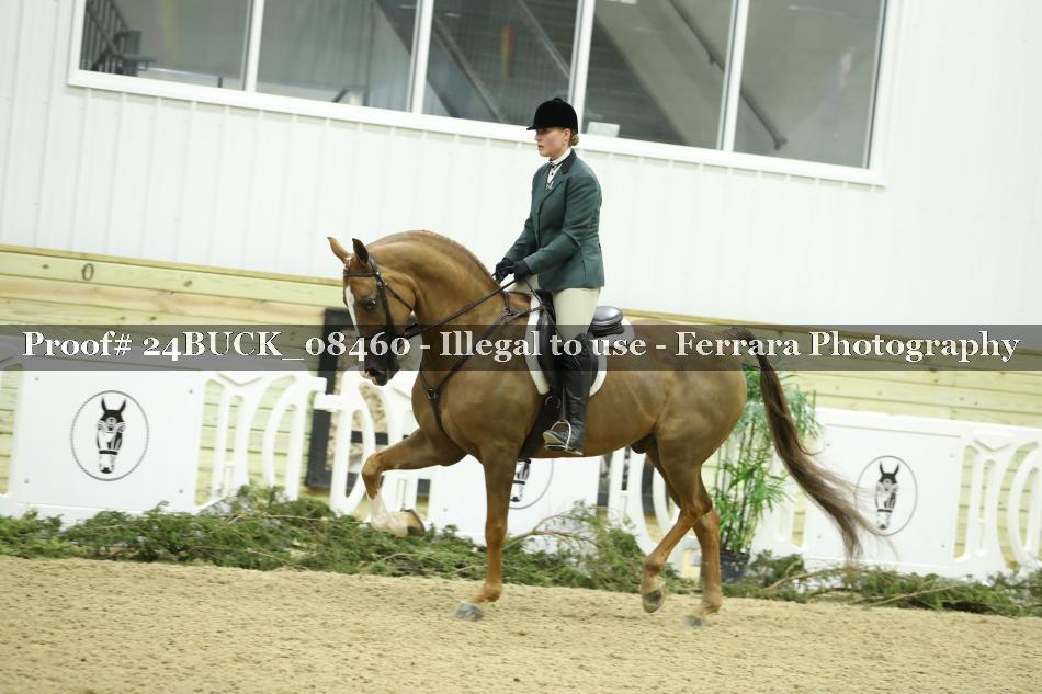 Proof 24BUCK_08460