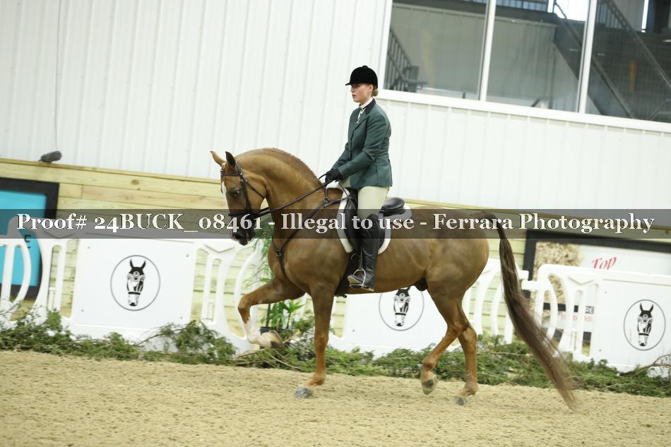 Proof 24BUCK_08461