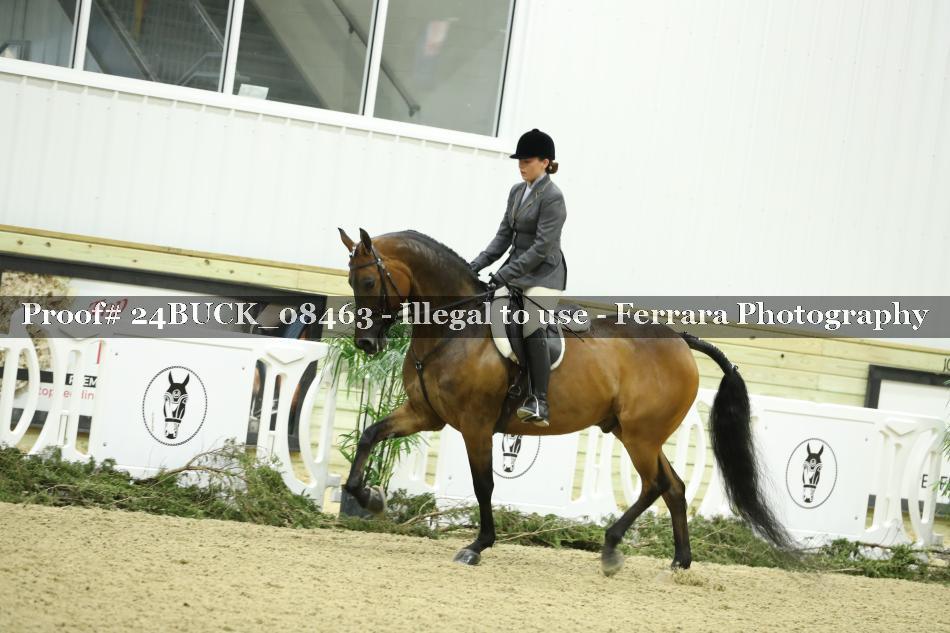 Proof 24BUCK_08463