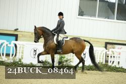 24BUCK_08464 proof