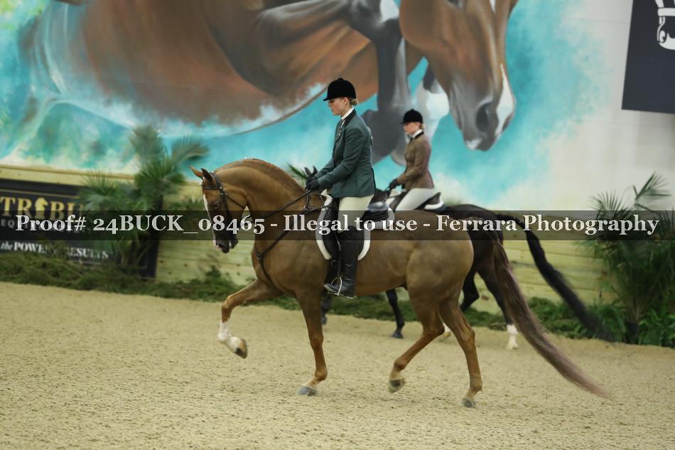 Proof 24BUCK_08465